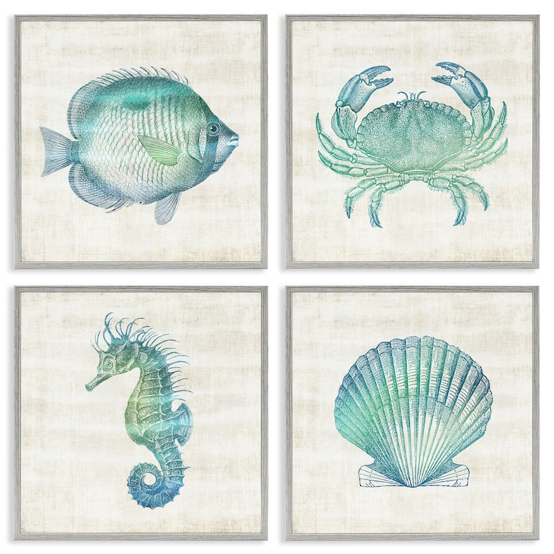 Stupell Aquatic Sea Life Impressions Framed Giclee Art Design By Susan Arnot (Set of 4) - 17 x 17 - Grey