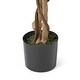 preview thumbnail 4 of 11, Harney Artificial Tabletop Ficus Tree by Christopher Knight Home
