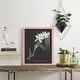 preview thumbnail 119 of 118, Orchid on Slate III -Framed Print w/glass-Cherry Red
