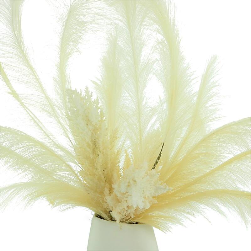 Pampas and Plume Arrangement in a Ceramic Vase - Cream, Beige