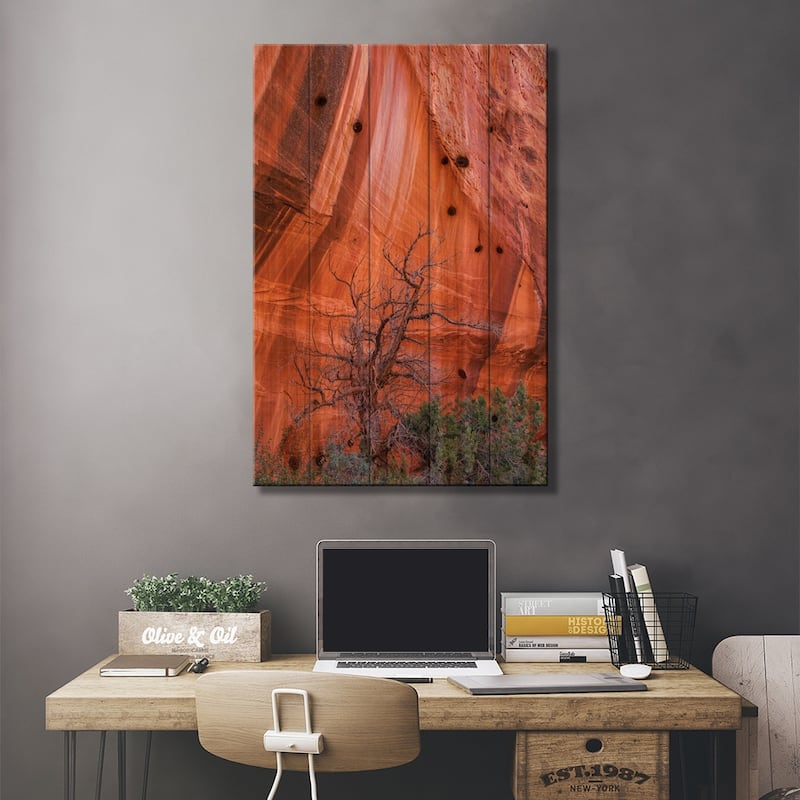 Utah Juniper And Cliff With Desert Varnish, Grand Staircase-Escalante National Monument, Utah Print On Wood by Jeff Foott