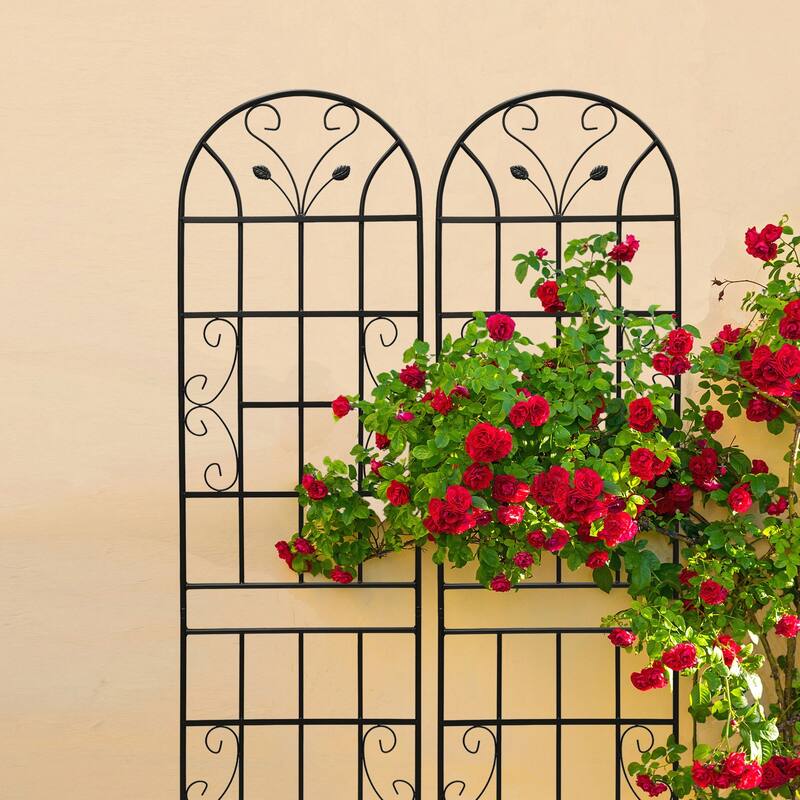 4 Pack Metal Garden Trellis 86.7in x 19.7in Rustproof Trellis