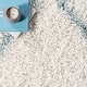 preview thumbnail 42 of 48, Nuloom Kesha Contemporary Trellis Shag Area Rug