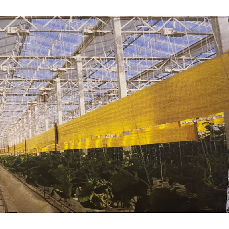 Catchy 33 foot Double Sided Fly Trap Film
