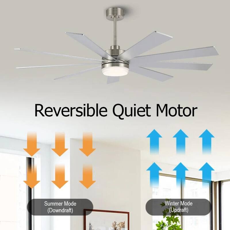MLiAN DC Motor Indoor Ceiling Fan with Light and Remote