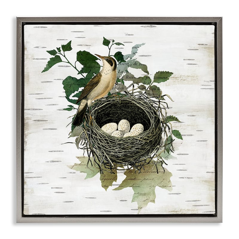 Stupell Vintage Bird Nest & Flora Framed Floater Canvas Wall Art Design By Susan Arnot - 18 x 18 - Grey