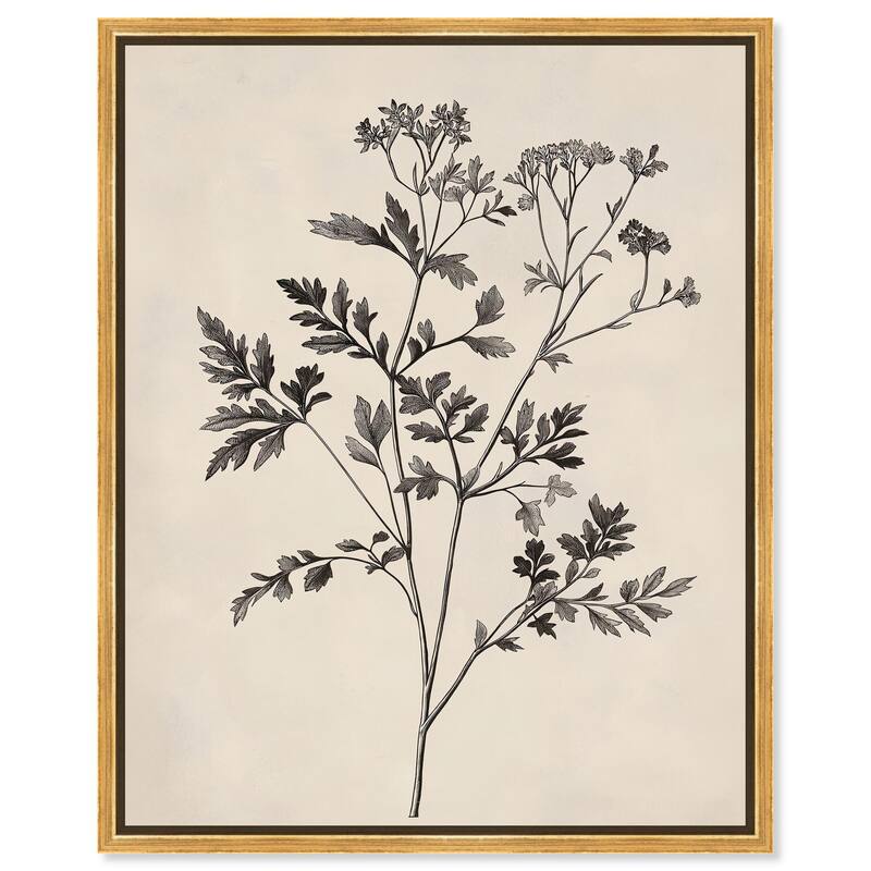 Aniseed Anatomy I Canvas by Art Remedy - Gold - 20" x 24"