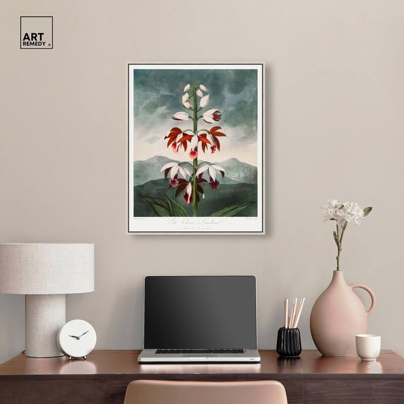 The China Limodoron 1807 Canvas by Art Remedy