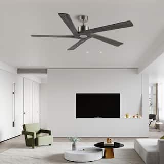 WINGBO 54 Inch DC Motor Indoor Ceiling Fan without Lights