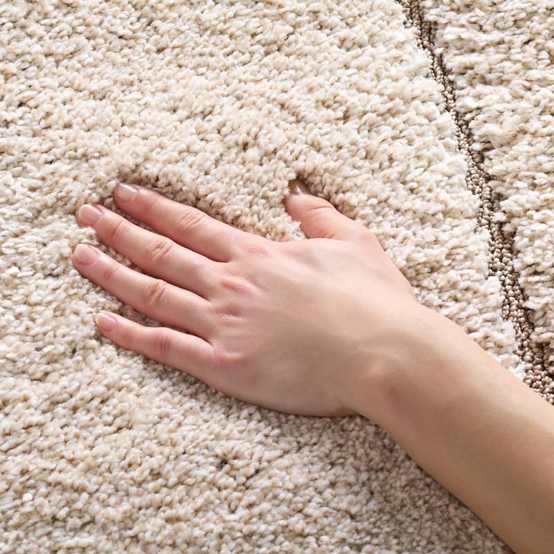 SAFAVIEH Florida Shag Borbala Soft Serene Waves 1.2-inch Thick
