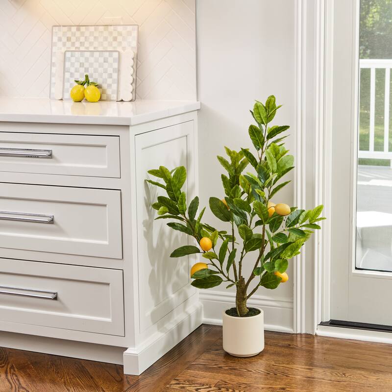 3' Potted Tuscan Lemon Tree
