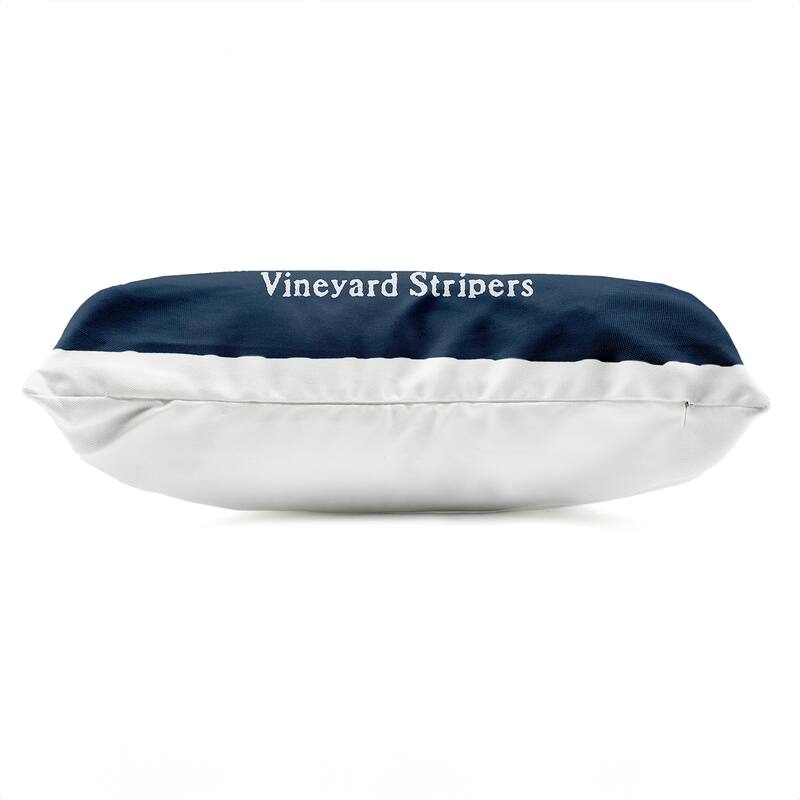 Stupell Vineyard Stripers Fish Printed Outdoor Throw Pillow Design by Phillipa Katz
