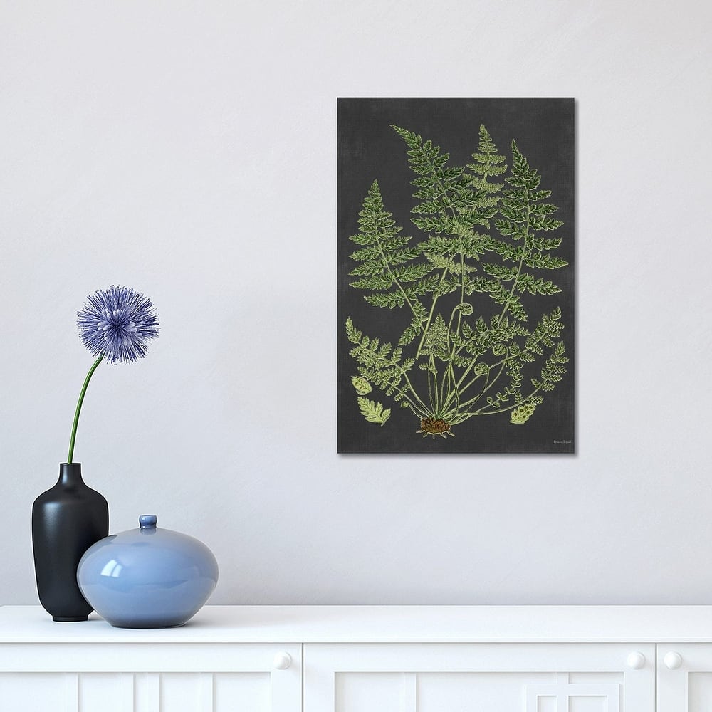 iCanvas "Fern Study" by lettered & lined Canvas Print