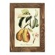 preview thumbnail 45 of 138, Printed Tuscan Fruits IV -Framed Print w/glass-Cherry Red 4x6 - Walnut