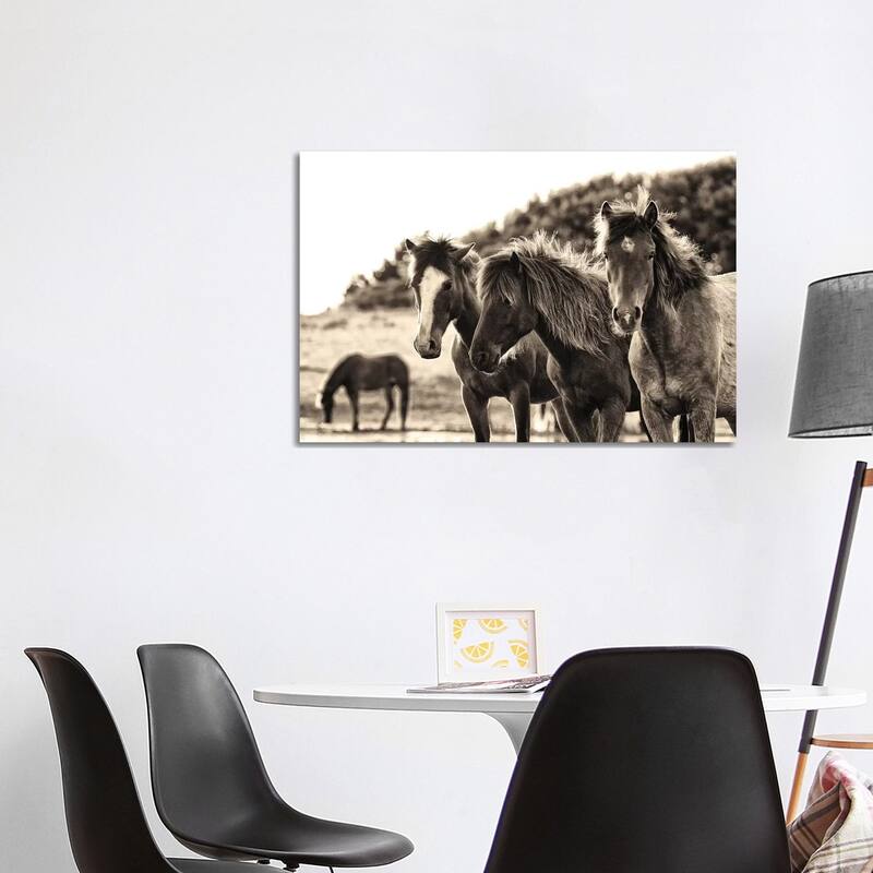 iCanvas "Horses Three Sepia" by Aledanda Canvas Print - 26x40x1.5