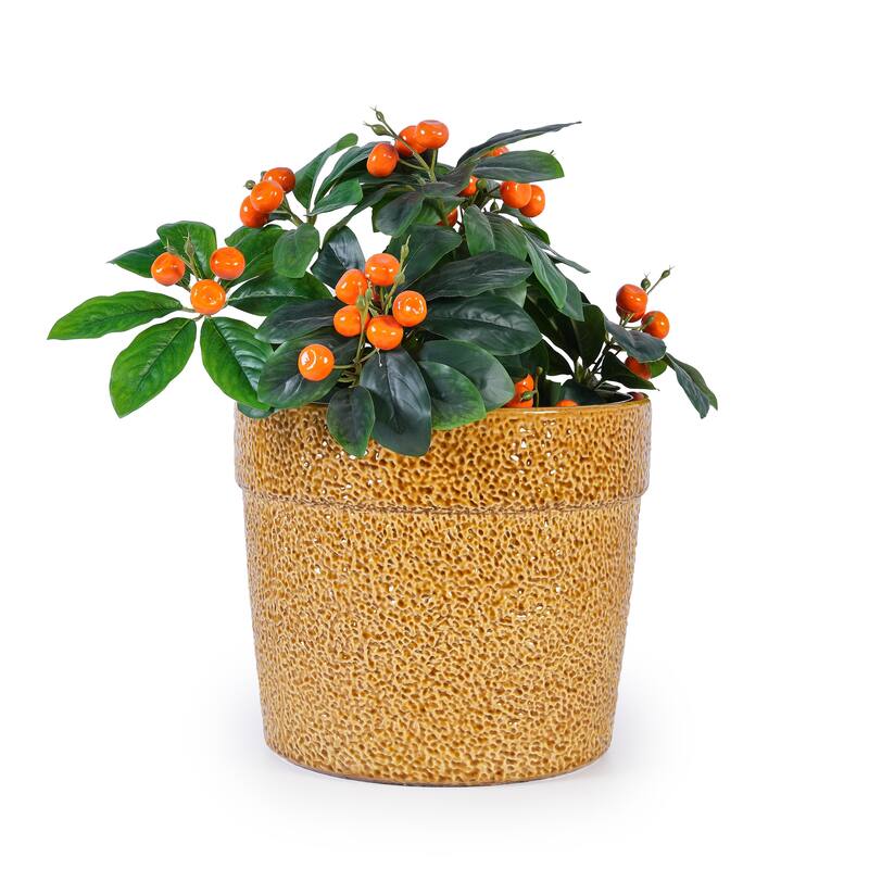 Anmytek Handmade Ceramic Planter Set of 3 for Orchids Indoor Plants