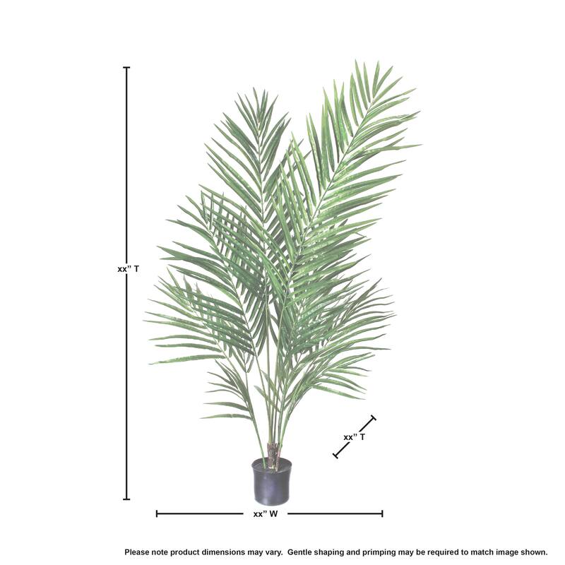 Potted Areca Palm With 4'