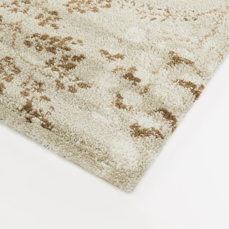 Harmonia Floral Transitional Area Rug