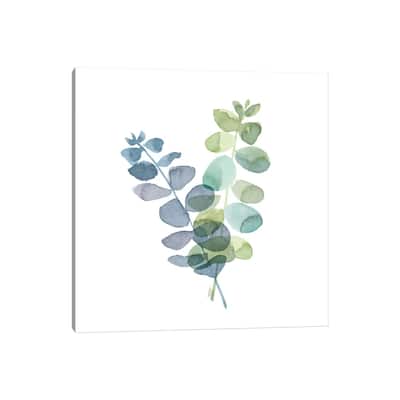 iCanvas "Natural Inspiration Blue Eucalyptus on White I" by Tara Reed Canvas Print