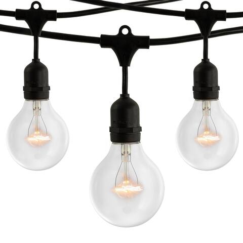 Bulbrite 48 Foot Black String Light with 15 - 25 Watt 2700K Incandescent Bulbs
