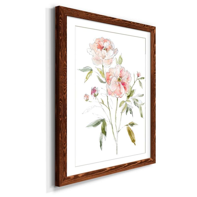 Sketchbook Cottage Rose I-Premium Framed Print - Ready to Hang