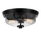 preview thumbnail 1 of 4, Radius 2-Light Flush Mount in Earth Black