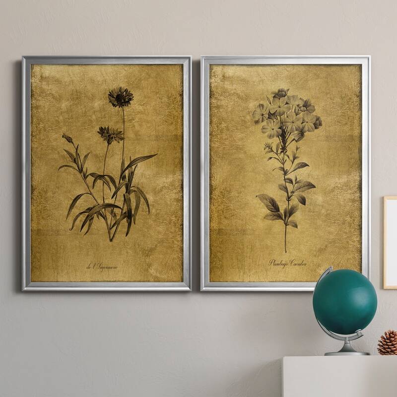 Gold Sketch Botanical I Premium Framed Print - Ready to Hang - Multi-Color