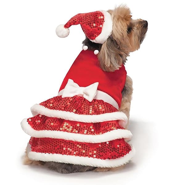 Shop Zack And Zoey Sparkle Sequin Velvet Holiday Dog Dress X