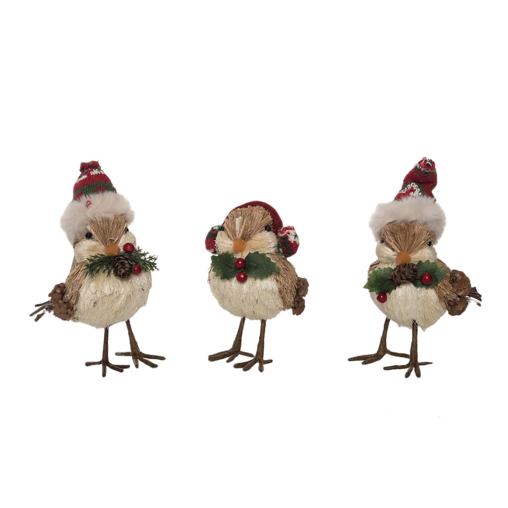 Transpac Foam Sisal Bird w/Hat Set of 3 Christmas Home Decorations
