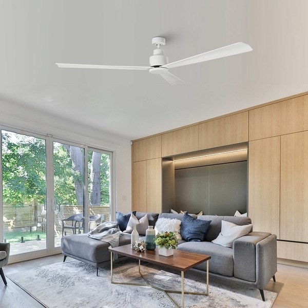 Moske　1 66455263.jpeg