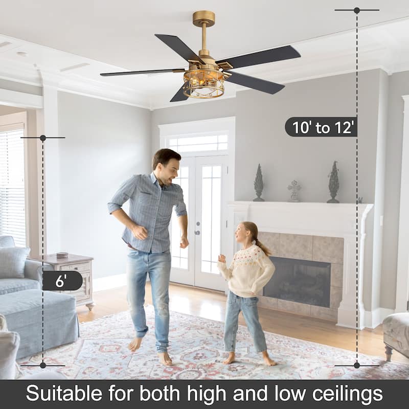 52-inch Reversible 5-Blade Caged Ceiling Fan with Remote and Light Kit