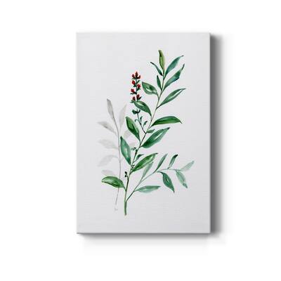 Freshly Picked III Premium Gallery Wrapped Canvas - Ready to Hang