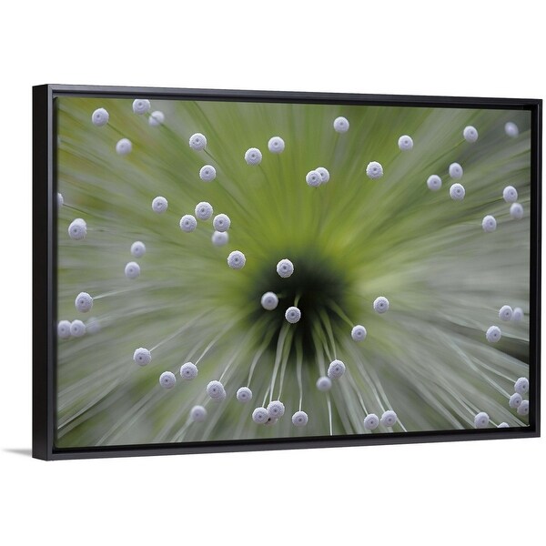 "Green And White II" Black Float Frame Canvas Art
