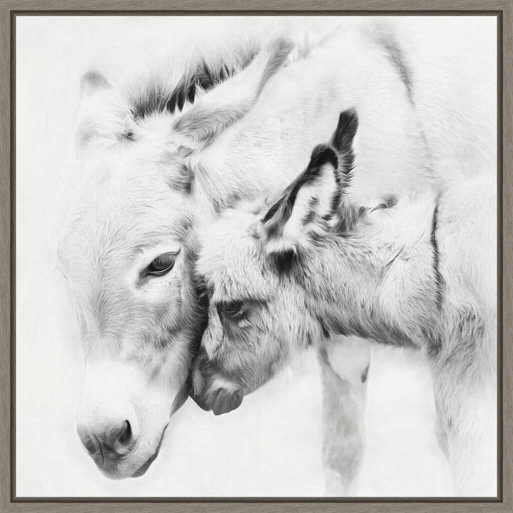 Donkey Portrait III by PHBurchett Framed Canvas Art