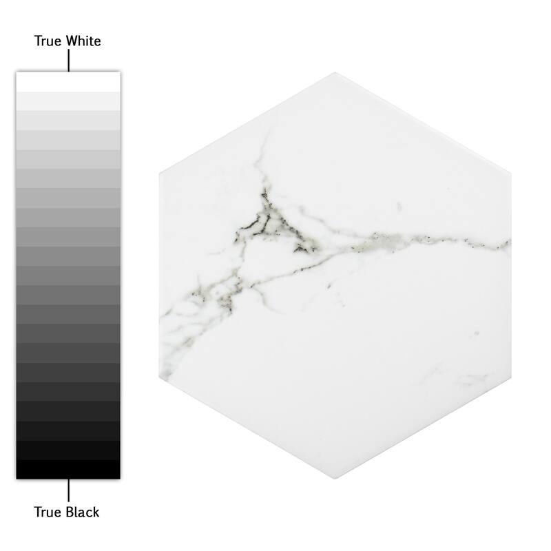 Merola Tile Timeless Calacatta Hex 8-5/8" x 9-7/8" Porcelain Floor and Wall Tile
