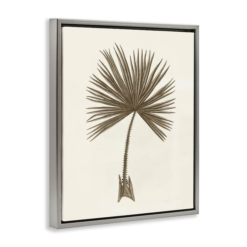 Stupell Vintage Study of Palm Leaf Framed Floater Canvas Wall Art Design By Phillipa Katz