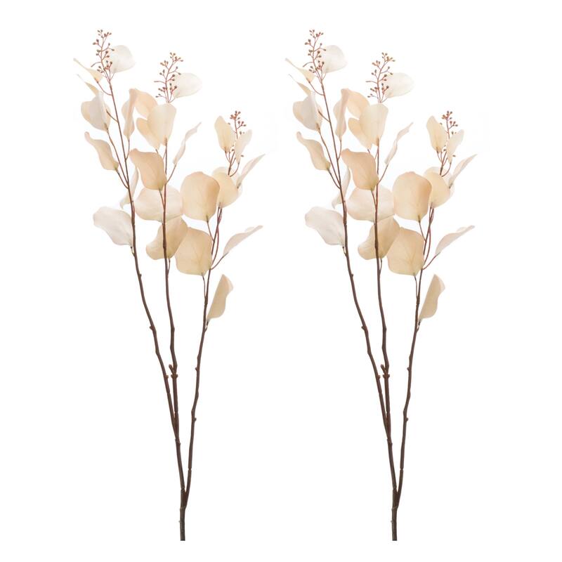 Seeded Eucalyptus Stem (Set of 2)