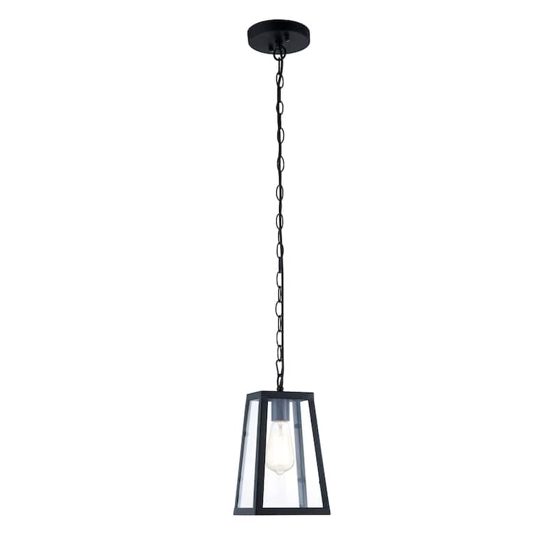 Light Society Serendipity Black/Clear Glass/Iron/Metal Pendant Lamp
