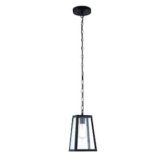Light Society Serendipity Black/Clear Glass/Iron/Metal Pendant Lamp
