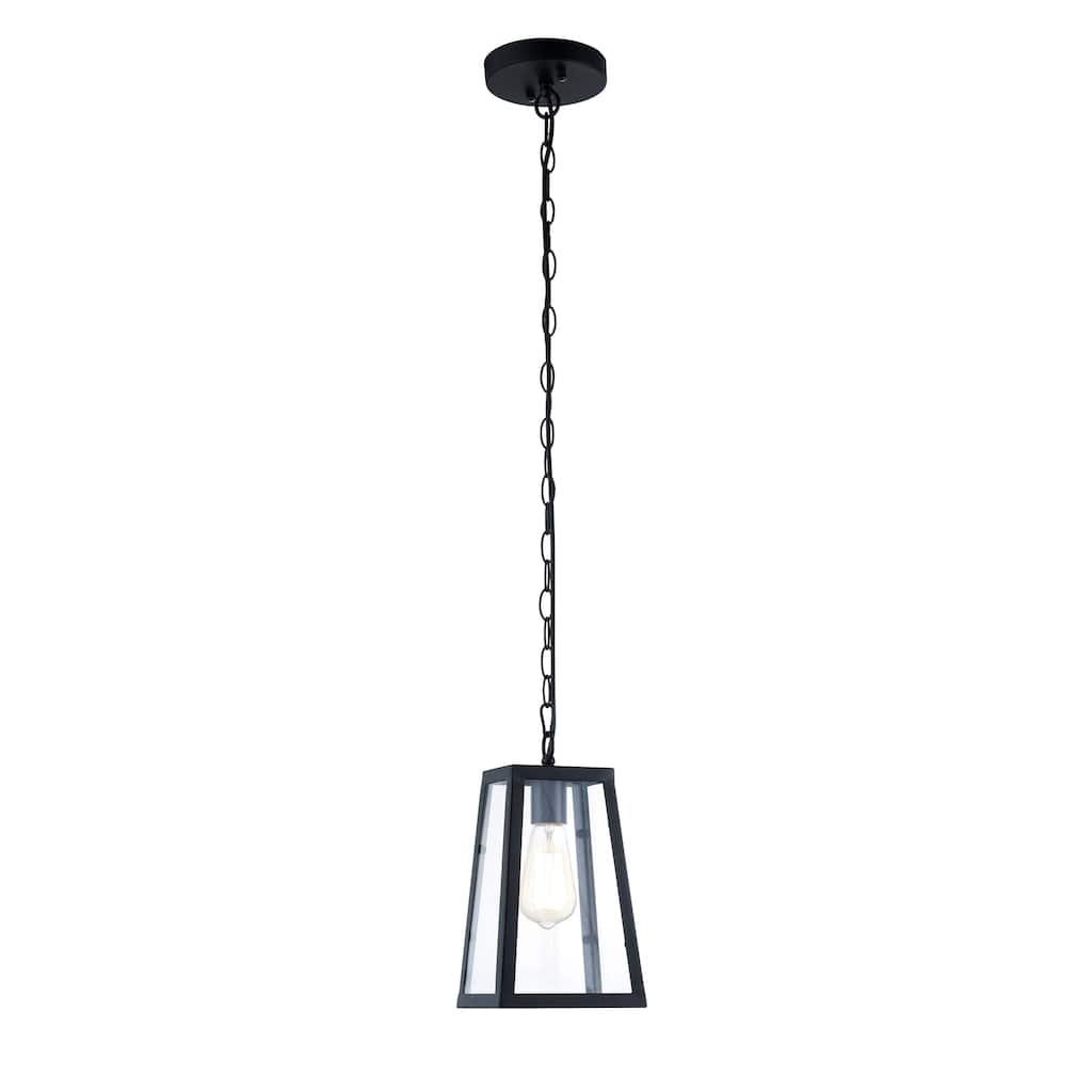 Light Society Serendipity Black/Clear Glass/Iron/Metal Pendant Lamp