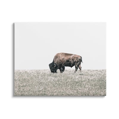 Stupell Buffalo Grazing Pasture Canvas Wall Art Design by Daniel Sproul