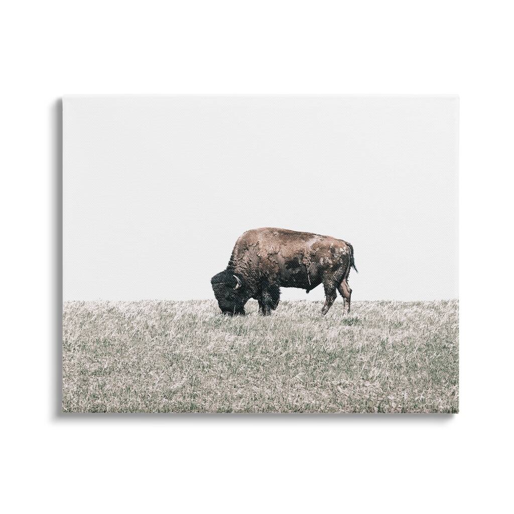 Stupell Buffalo Grazing Pasture Canvas Wall Art Design by Daniel Sproul