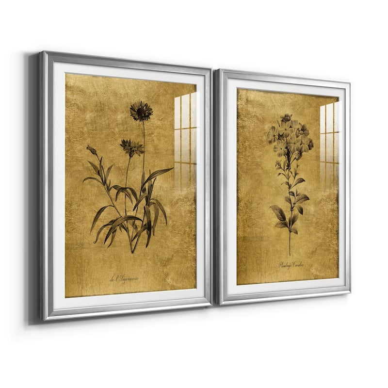 Gold Sketch Botanical I Premium Framed Print - Ready to Hang