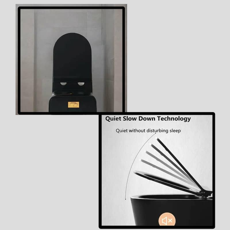 Black Comfort Ceramic One Piece Toilet with Seat