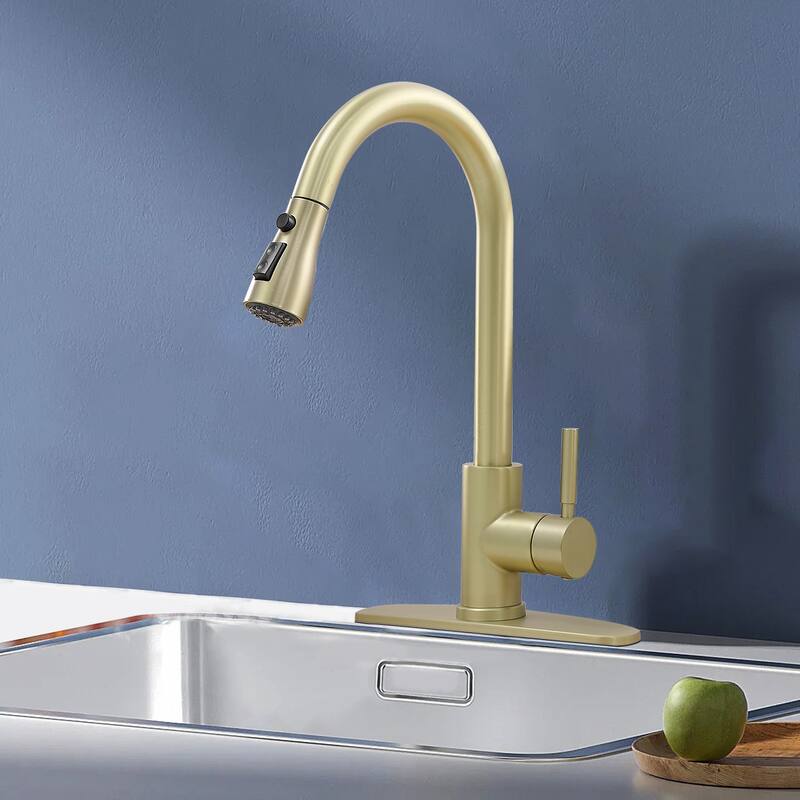 Topcraft Single Handle Pull-Out Stainless Steel Kitchen Faucet