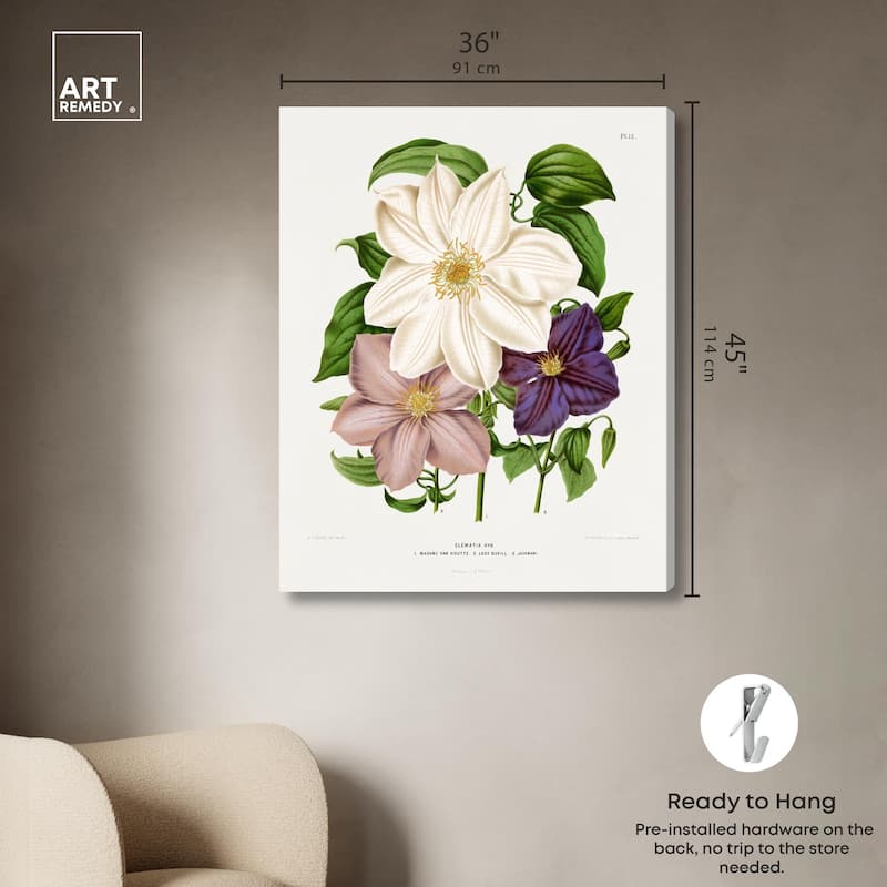 Clematis Canvas by Art Remedy, Gallery Wrapped