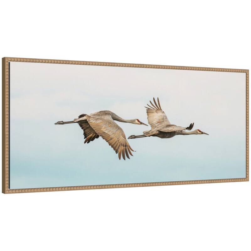 Kate and Laurel Cranes Flying Panel by Emiko and Mark Franzen F2 Images Framed Canvas Wall Art Print - 40 x 18
