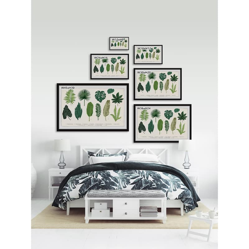 Calathea Framed Print
