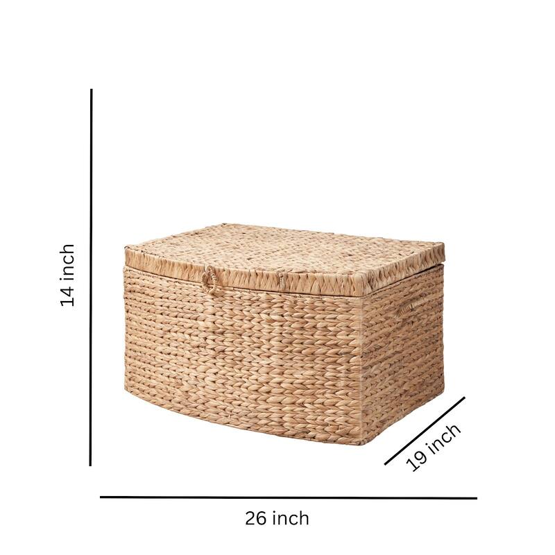 Ludmilla Rectangular Curve Water Hyacinth Woven Wicker Trunk with Handles - 26" x 19" x 14" - Natural Brown