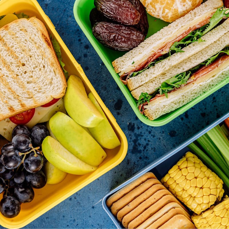 12"x9"x3" Insulated Lunch Bags Food Containers Bag Thermal Bento Bag